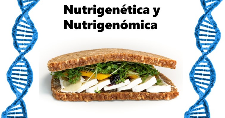 Portada de nutrigenética y nutrigenómica.